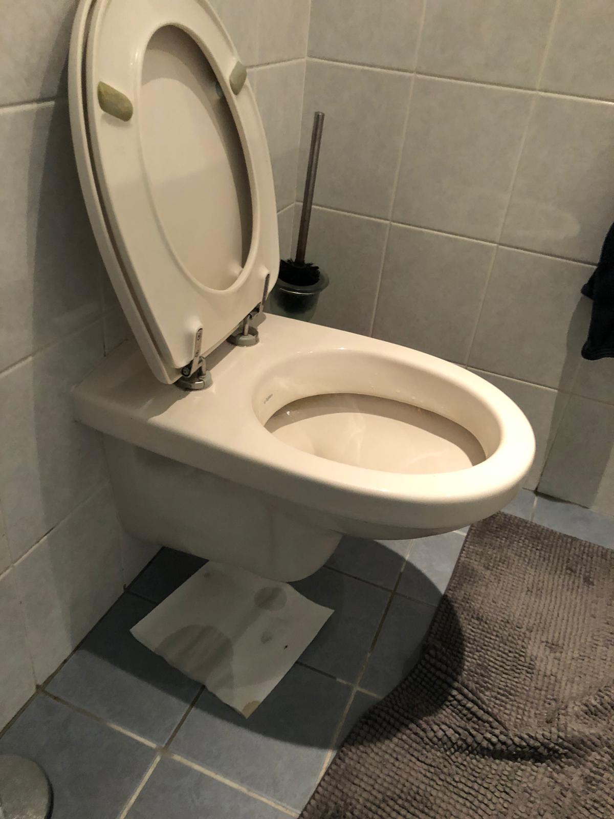 hangtoilet Zwaag